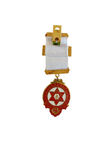 Bijou de Poitrine de Compagnon de l'Arche...