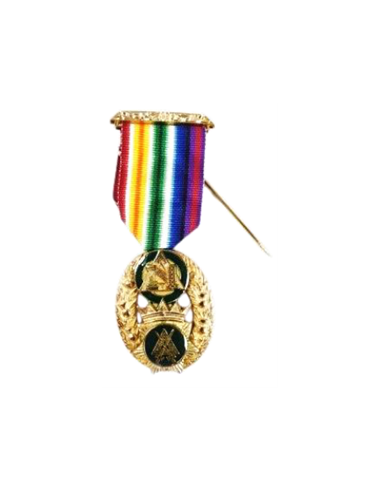 Bijou de poitrine Commandeur et Passé Commandeur Nautonier Doré