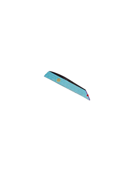 Baudrier (Echarpe) Maitre RAPMM (Rite Ancien Primitif Memphis Misraim)
